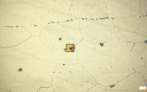 Ausscheidungen/Einschlüsse "Käse"